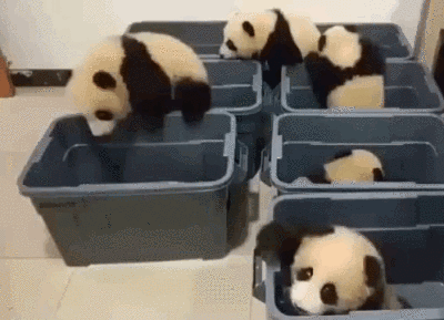 动态GIF：/快 乐 老 家/