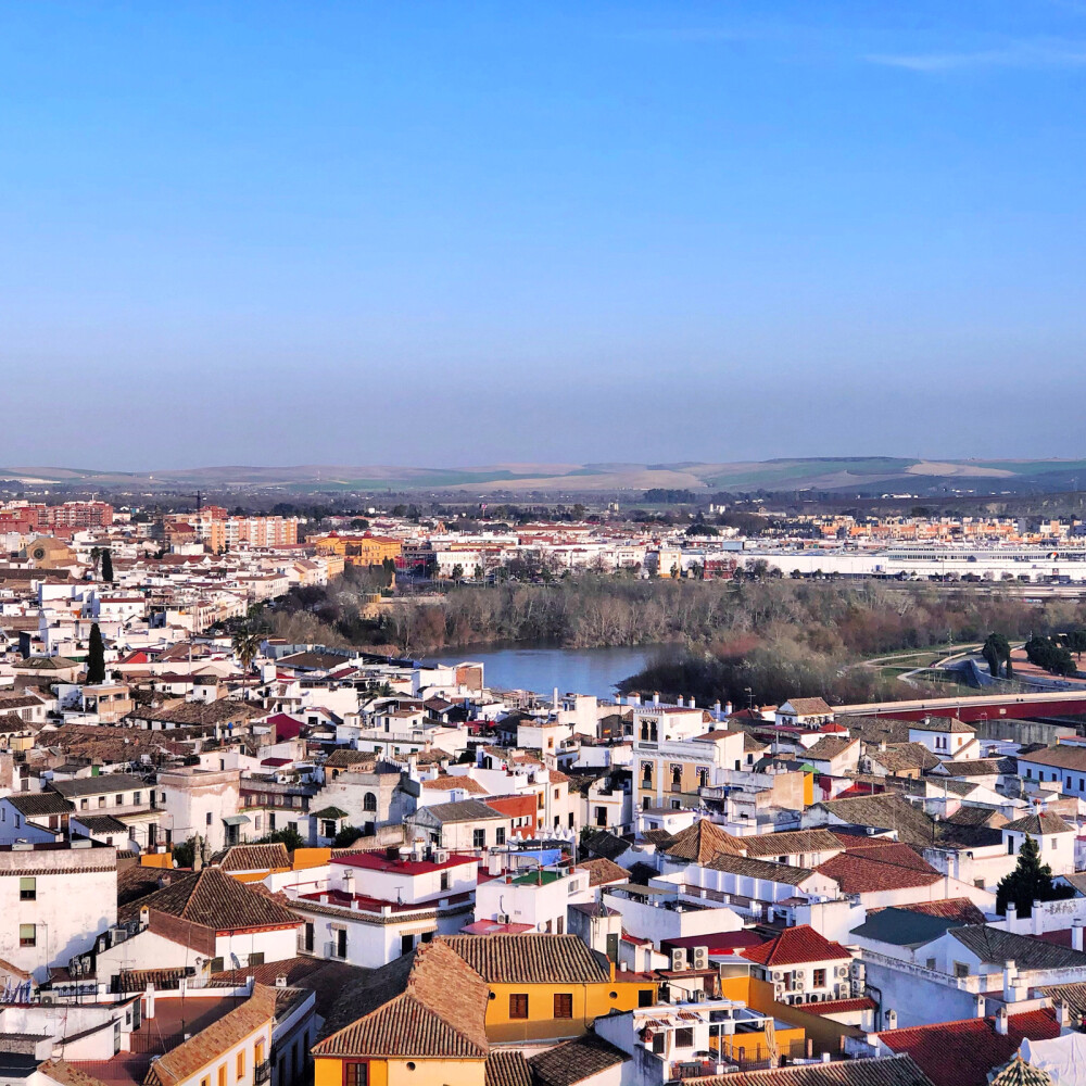 西班牙 科尔多瓦
主教堂钟楼上
Cordoba, Spain
Feb, 2020