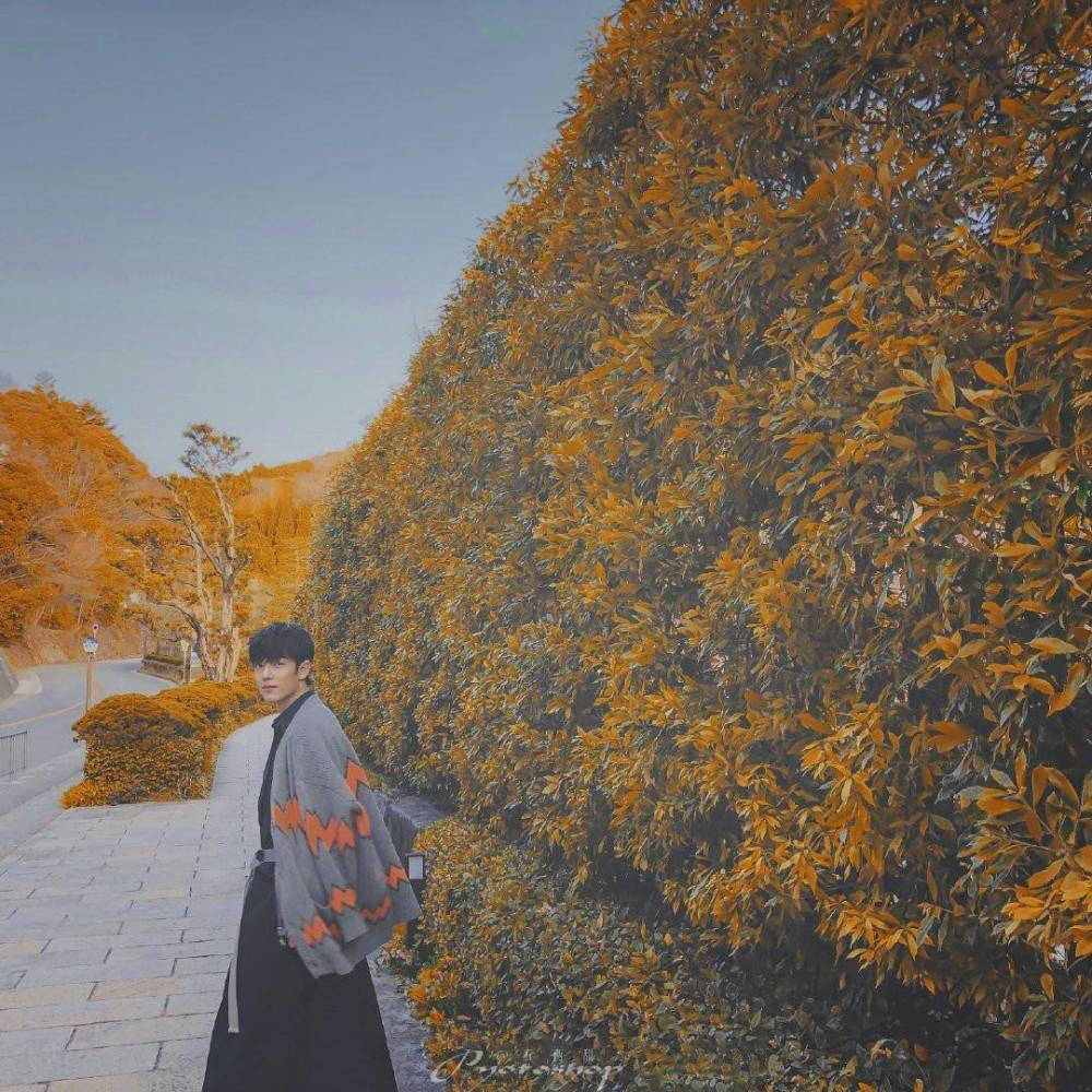 78肖战日本