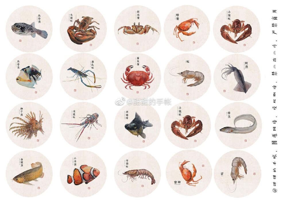 海洋生物 手账素材