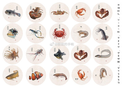 海洋生物 手账素材