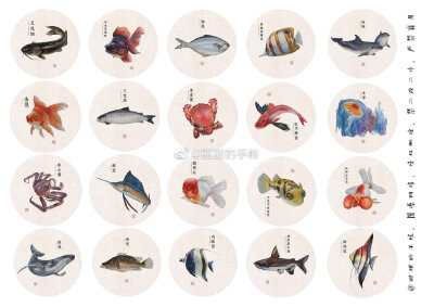 海洋生物 手账素材