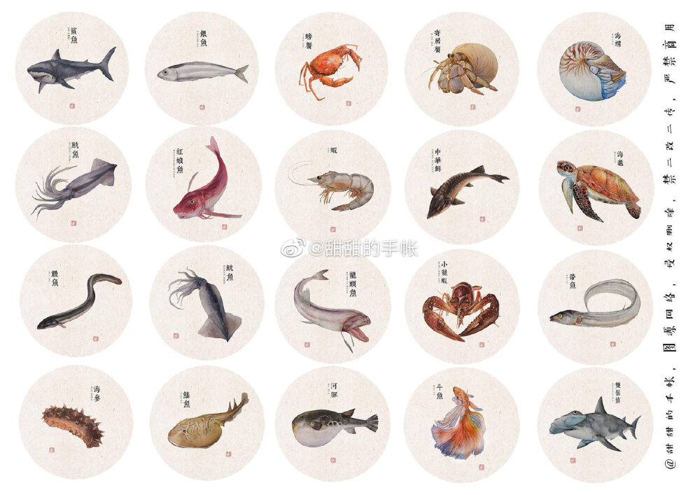 海洋生物 手账素材