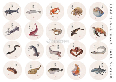 海洋生物 手账素材