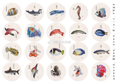 海洋生物 手账素材