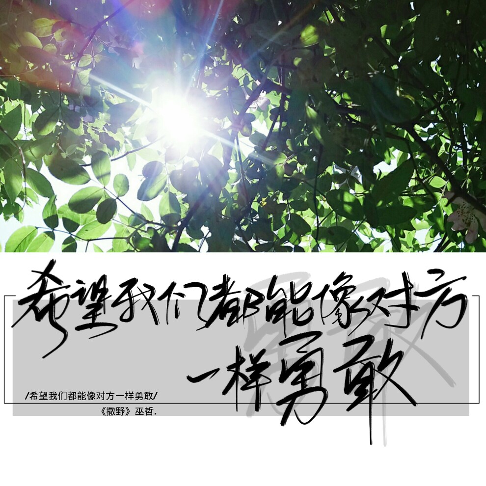 希望我们都能像对方一样勇敢❤️
——《撒野》巫哲