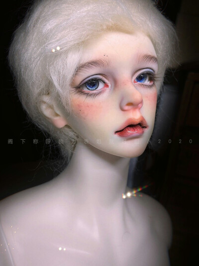 球形关节人偶 bjd