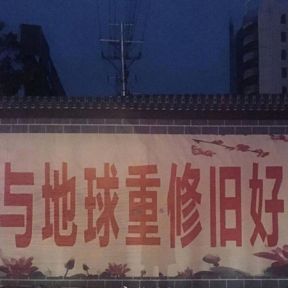 ins背景图