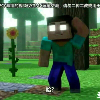 MC永不灭！