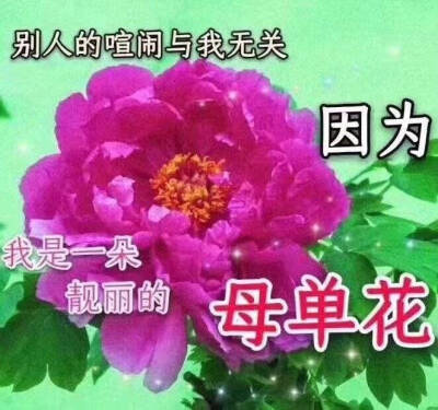 母单花