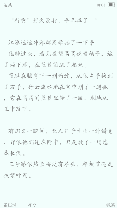 某某
江添盛望
“风过林梢，骄阳正好，彼时他们正当年少”