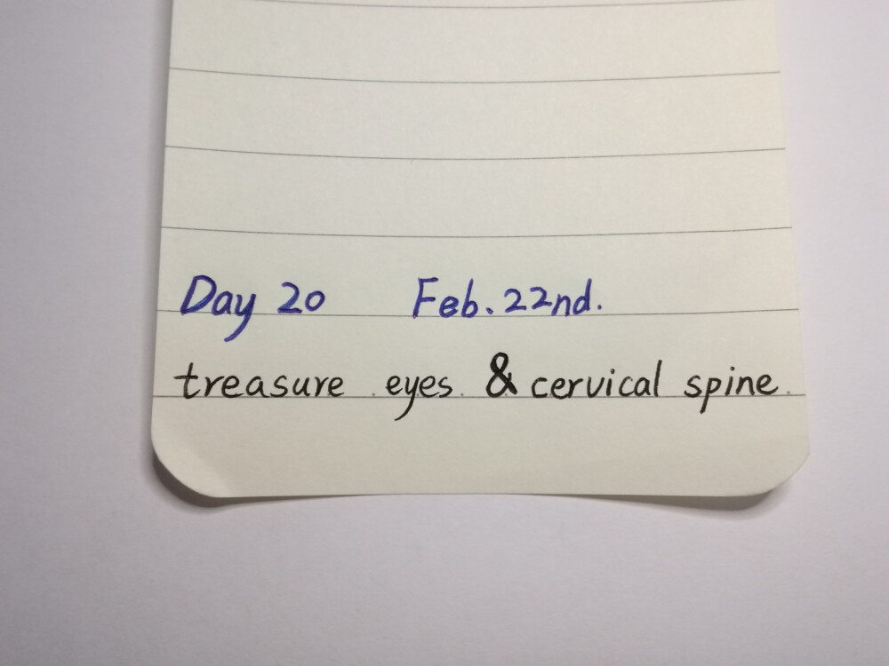 22天网课有感：为了革命，保护眼睛，保护颈椎。