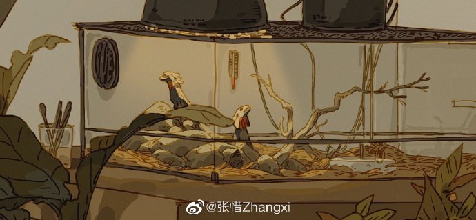 神级插画
超仙
微博：张惜Zhangxi