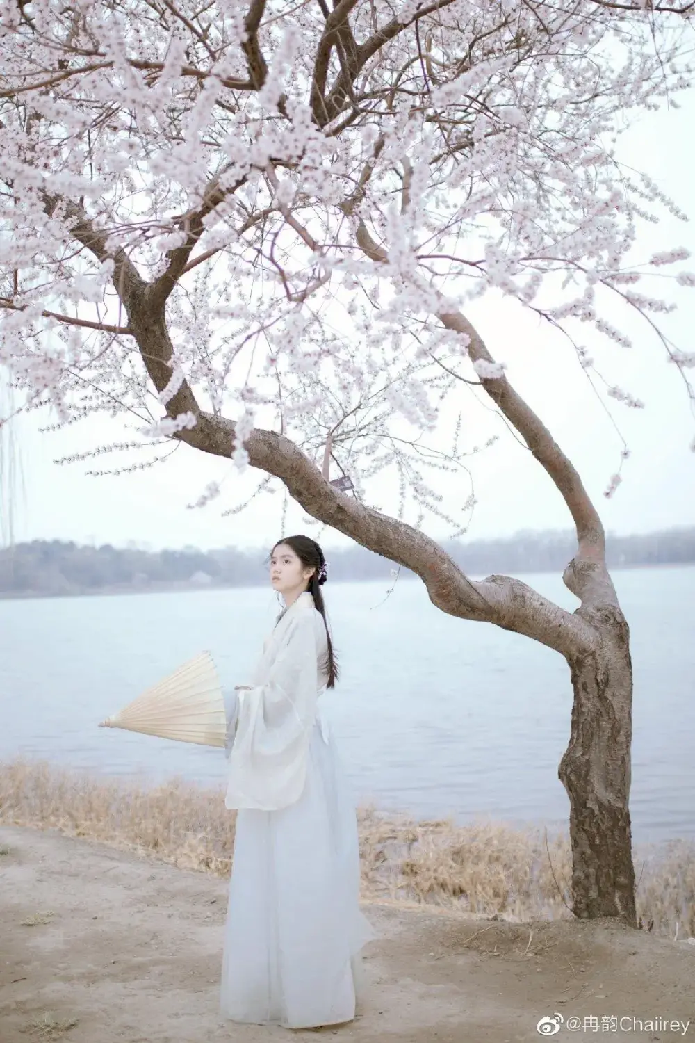 透月欲思君，欲表己意。而视满星，黯然下泪。