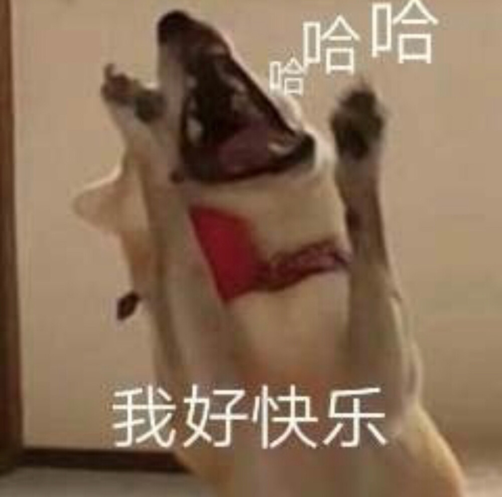 我好快乐