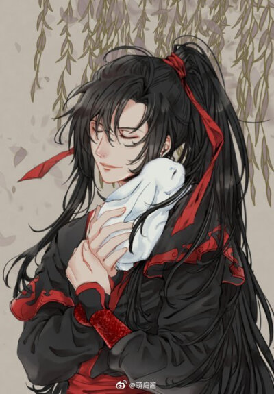 魏无羡 蓝忘机 魔道祖师