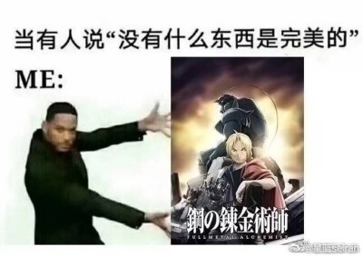 钢之炼金术师