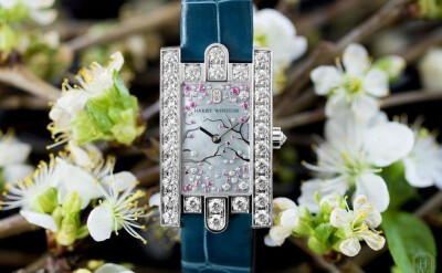 海瑞温斯顿（harry winston）珠宝腕表鉴赏