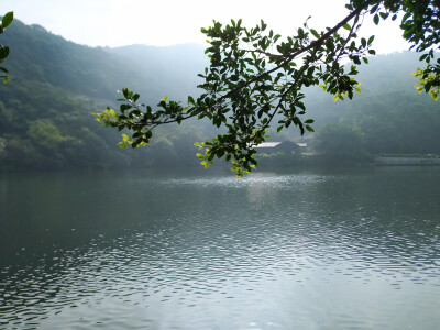 背景 风景 自拍