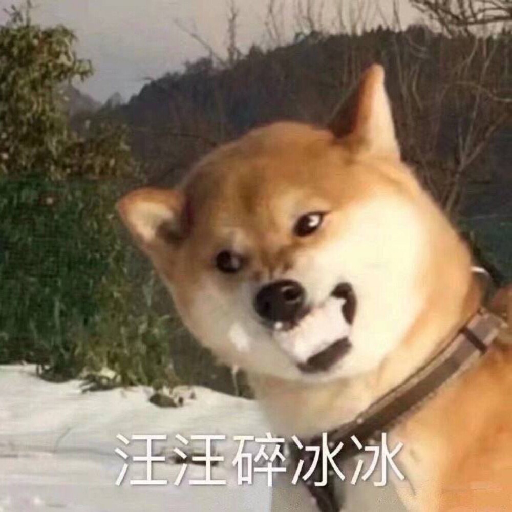 表情包