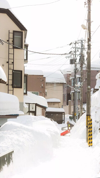 雪 壁纸