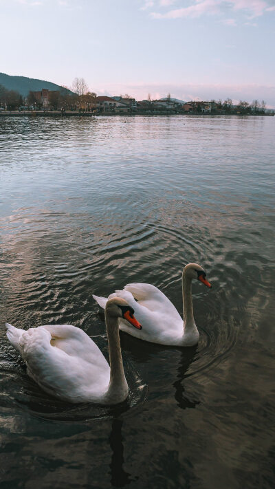 风景壁纸
转自Walli