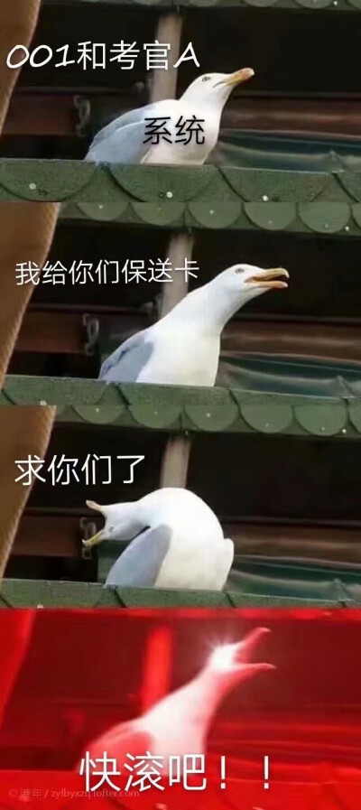 全球高考