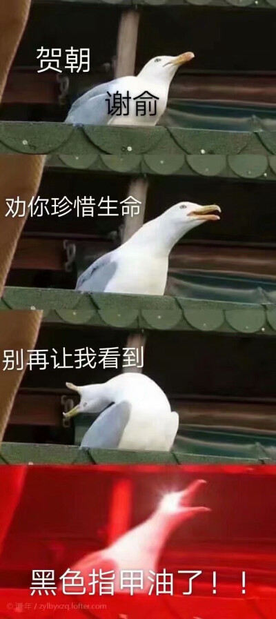 谢俞