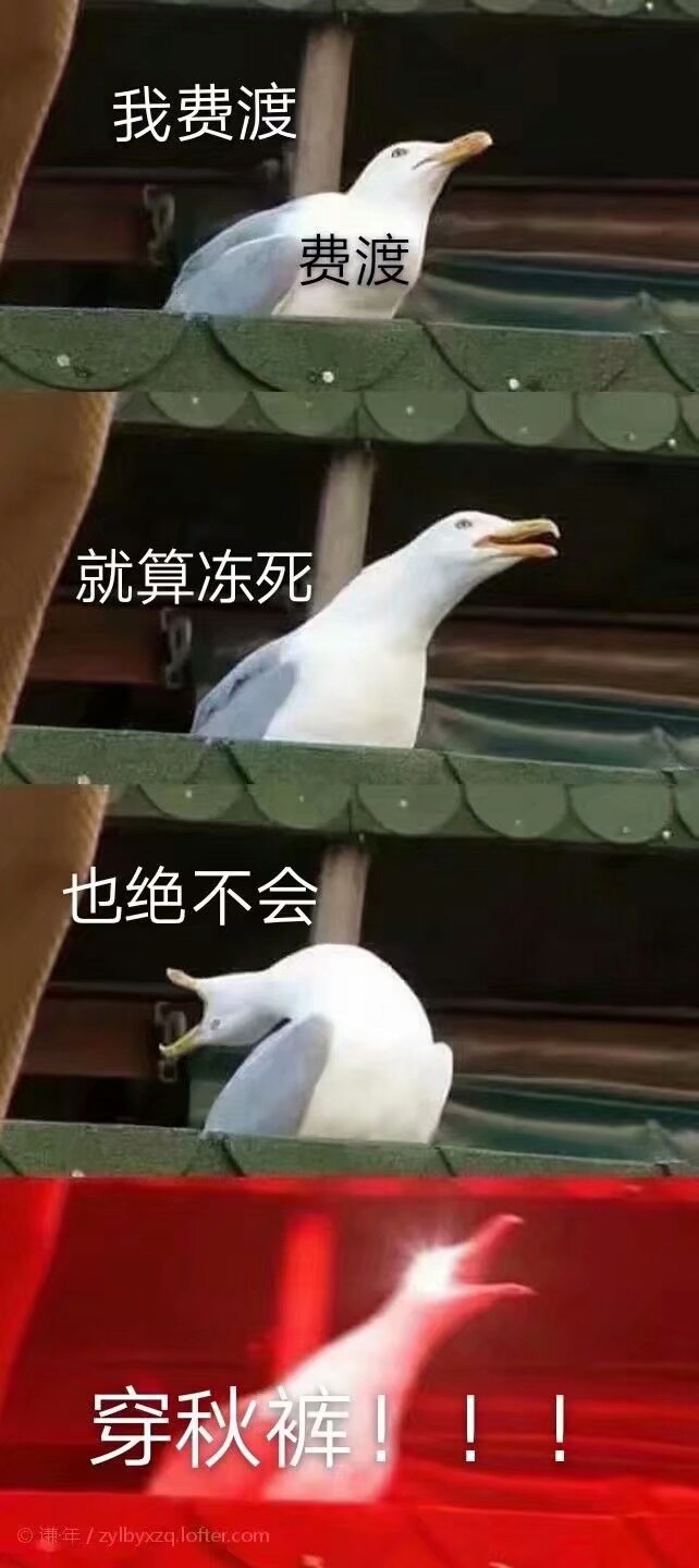 费渡 骆闻舟 