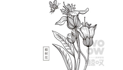 上海鲸叹品牌部分案例