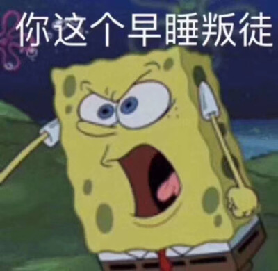 琪琪