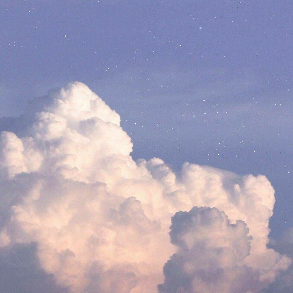 情 乱 夜 梦 東 京