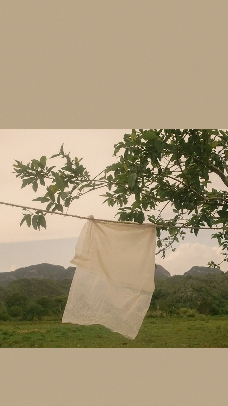 壁纸˗ˏˋ♥︎︎ˎˊ˗