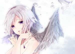 泪