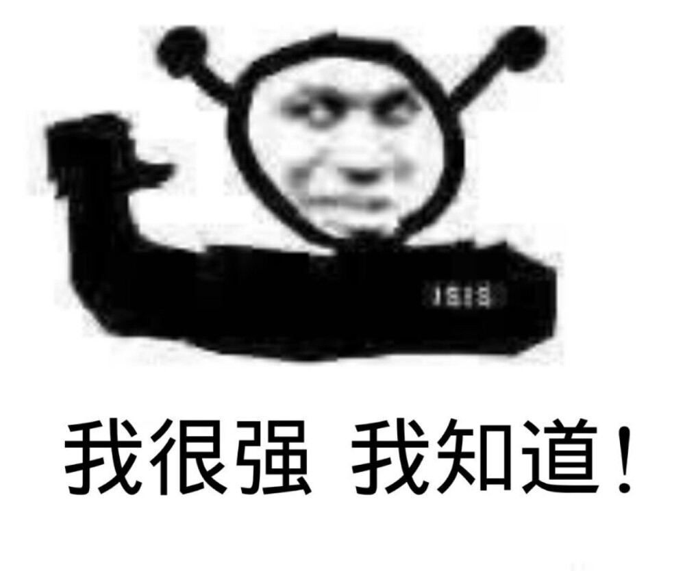 堆糖痖