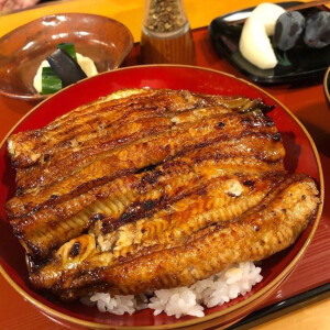 美食·日式鳗鱼饭