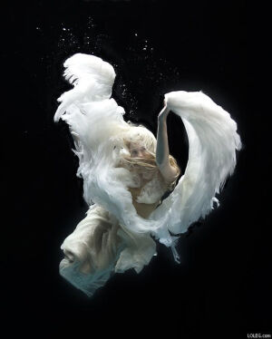 Zena Holloway | Underwater photograph