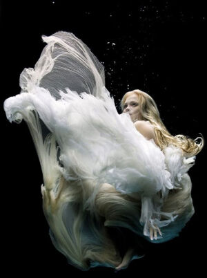 Zena Holloway | Underwater photograph