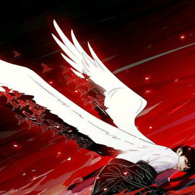 这是我世界的温柔