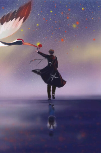 这是我世界的温柔