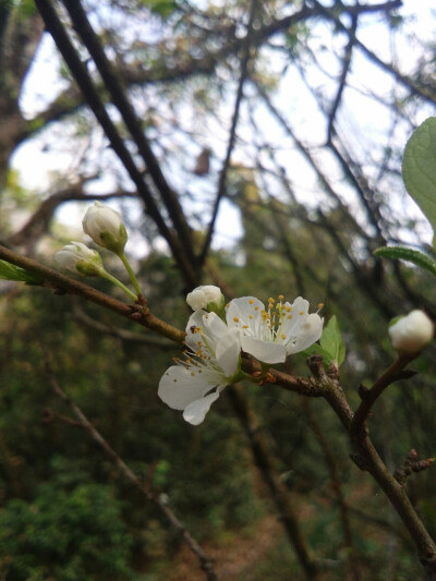 春暖花开