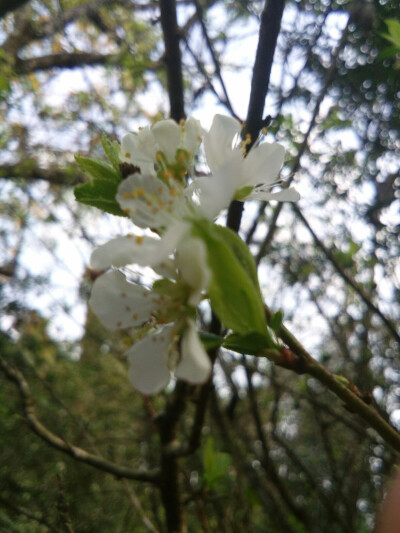 春暖花开