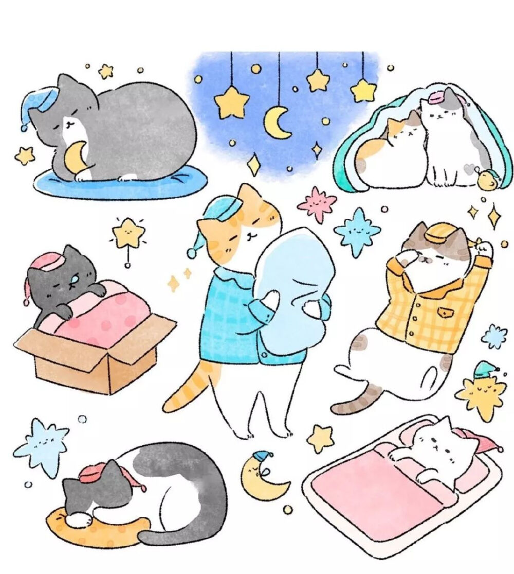 小猫咪(๑• . •๑)