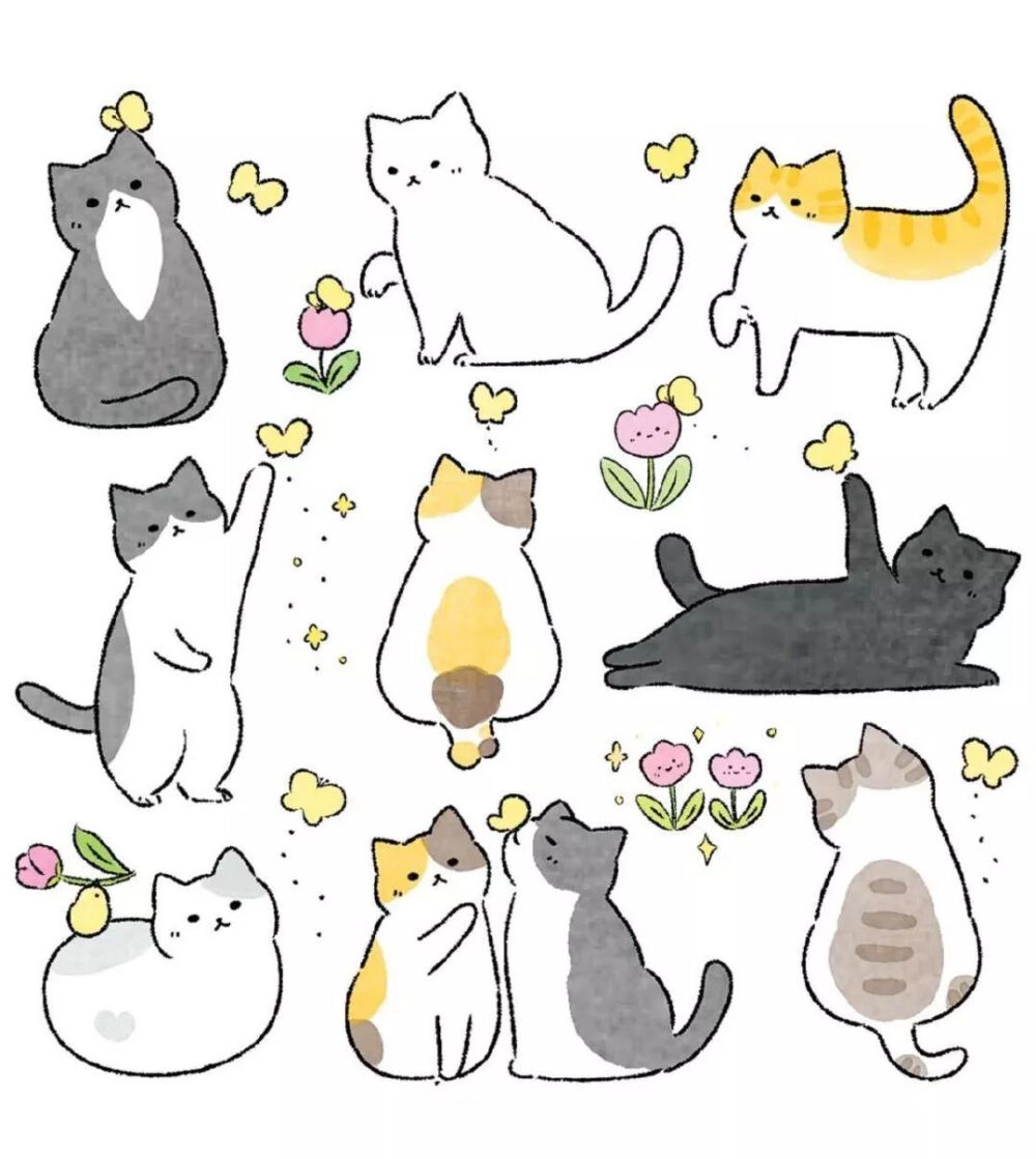 小猫咪(๑• . •๑)