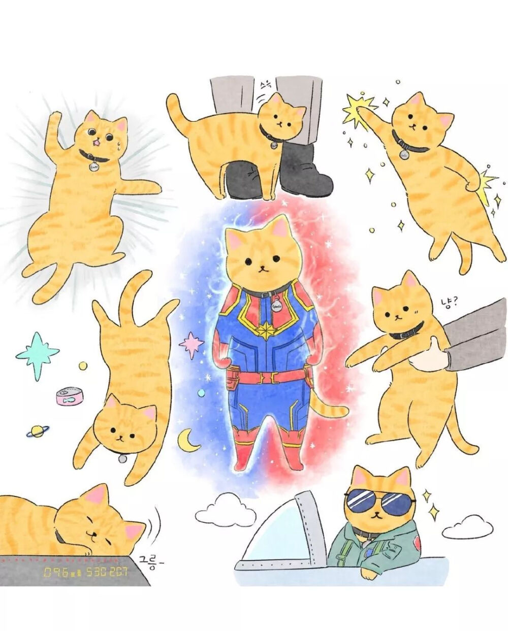 小猫咪(๑• . •๑)