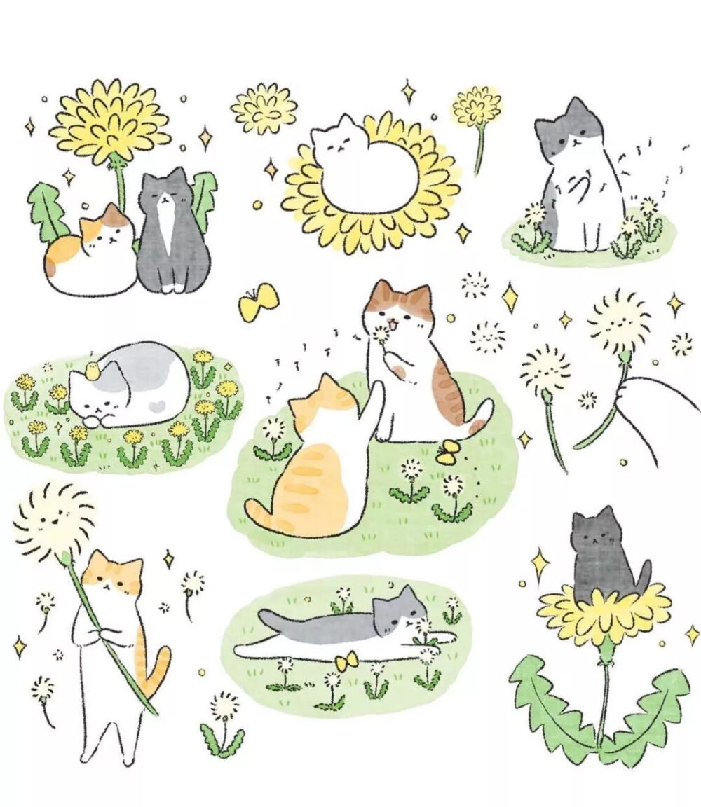 小猫咪(๑• . •๑)