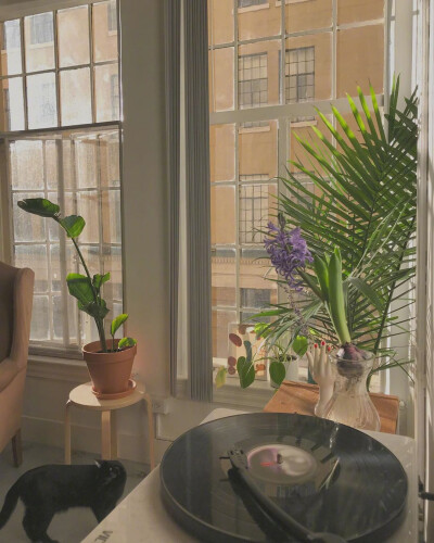 林清玄曾写到：
“传说在北极的人因为天寒地冻 一开口说话就结成冰雪 对方听不见 只好回家慢慢烤来听。遇到谈情说爱 先用情诗情词裁冰 切成细细的碎片 加上酒来煮。如果失恋 就一把大火烧了 烧成另一个春天”