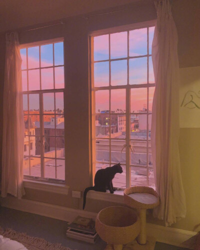 林清玄曾写到：
“传说在北极的人因为天寒地冻 一开口说话就结成冰雪 对方听不见 只好回家慢慢烤来听。遇到谈情说爱 先用情诗情词裁冰 切成细细的碎片 加上酒来煮。如果失恋 就一把大火烧了 烧成另一个春天”