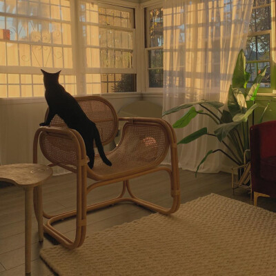 林清玄曾写到：
“传说在北极的人因为天寒地冻 一开口说话就结成冰雪 对方听不见 只好回家慢慢烤来听。遇到谈情说爱 先用情诗情词裁冰 切成细细的碎片 加上酒来煮。如果失恋 就一把大火烧了 烧成另一个春天”