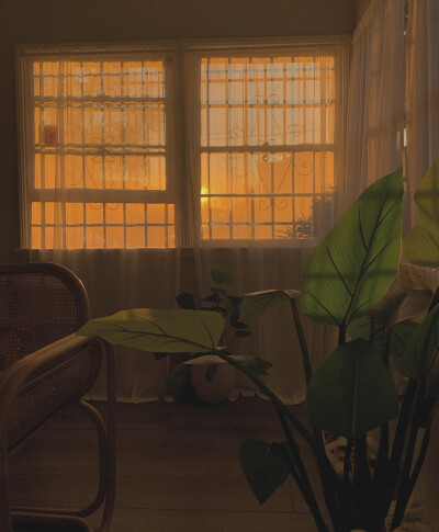 林清玄曾写到：
“传说在北极的人因为天寒地冻 一开口说话就结成冰雪 对方听不见 只好回家慢慢烤来听。遇到谈情说爱 先用情诗情词裁冰 切成细细的碎片 加上酒来煮。如果失恋 就一把大火烧了 烧成另一个春天”